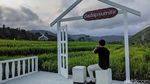 Potret Destinasi Wisata Kuliner Hits di Jogja, Selalu Ramai Turis!