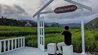Dadap Sumilir terletak di pinggir Jalan Raya Kaligesing, Pendoworejo, Girimulyo, Kulon Progo atau sekitar 21 KM ke arah barat dari pusat Kota Yogya.