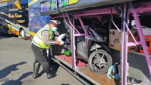 Pakai Truk Terlalu Mainstream, Ada yang Nekat Angkut Kerbau Dimasukkan Bagasi Bus!