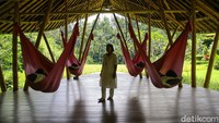 Sacred Nap ini adalah kegiatan tidur siang sambil dininabobokan. Nina bobonya berupa nyanyian, dan cerita riwayat Buddha. Fera adalah master wellness, pencetus dan pembimbing dalam Sacred Nap.