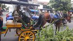 Tentang Andong di Malioboro dan Efek Magis Nostalgia
