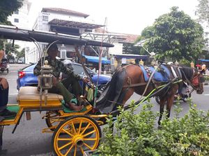 Detik-detik Kuda Andong Lepas Kendali gegara Kaget Suara Knalpot di Malioboro