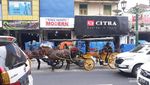 Tentang Andong di Malioboro dan Efek Magis Nostalgia