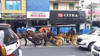 Keberadaan andong di Kota Yogyakarta menjadi daya tarik tersendiri bagi wisatawan.
