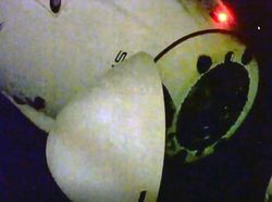 Detik-detik Astronaut Nyemplung ke Laut dari Antariksa