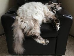 Awas! Foto Ini Bikin Mata Terkecoh