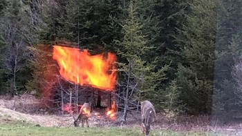 Seolah terjadi kebakaran, padahal refleksi dari kaca saat senja. Foto: dok Reddit via Brightside