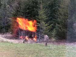 Awas! Foto Ini Bikin Mata Terkecoh