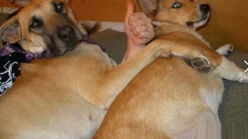 Oke Sip... Foto: dok Reddit via Brightside