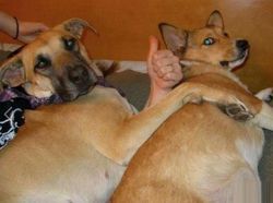 Awas! Foto Ini Bikin Mata Terkecoh