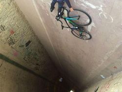 Awas! Foto Ini Bikin Mata Terkecoh