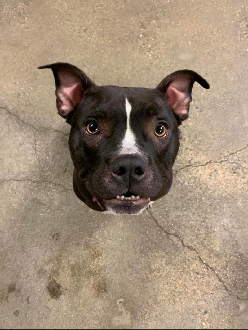 Foto yang mengecoh mata