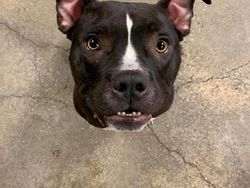 Awas! Foto Ini Bikin Mata Terkecoh