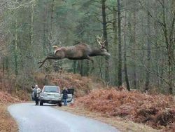 Awas! Foto Ini Bikin Mata Terkecoh