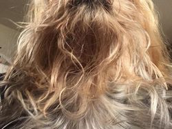 Awas! Foto Ini Bikin Mata Terkecoh