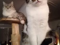 Awas! Foto Ini Bikin Mata Terkecoh