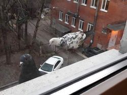 Awas! Foto Ini Bikin Mata Terkecoh