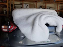 Awas! Foto Ini Bikin Mata Terkecoh