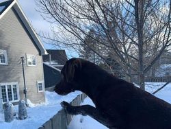 Awas! Foto Ini Bikin Mata Terkecoh