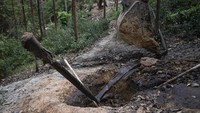 Tambang minyak tersebut berada di kawasan lahan konsesi. Akses menuju lokasi cukup sulit lantaran tak dilapisi aspal.  