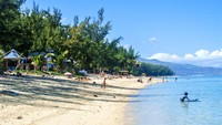 Sejak tahun 2011, tercatat ada 11 orang meninggal akibat serangan hiu di pulau Reunion. Sudah lebih dari 50 kasus serangan hiu yang tercatat dari periode 1988 hingga 2016 di pulau Reunion. (Getty Images/Aurore Kervoern)