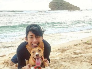 Polisi Periksa Saksi hingga Pemilik soal Kasus Pembantaian Belasan Anjing