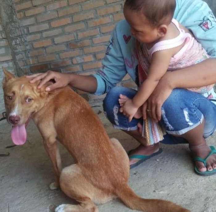 Sejumlah anjing piaraan milik warga Pacitan diduga mati dibunuh. Peristiwa tersebut diduga terjadi di wilayah Kelurahan Sidoharjo, Kecamatan Pacitan. Kini langsung ditangani polisi.