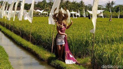 10 Foto Keindahan Fashion Show di Tengah Sawah Dekat Candi Borobudur