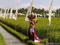 10 Foto Keindahan Fashion Show di Tengah Sawah Dekat Candi Borobudur