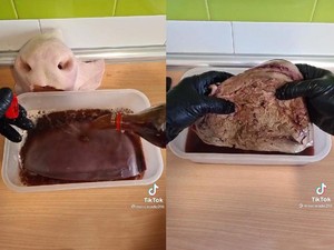 Cara Nabi Muhammad SAW Sahur dan Buka Puasa hingga Eksperimen Rendam Hati Babi