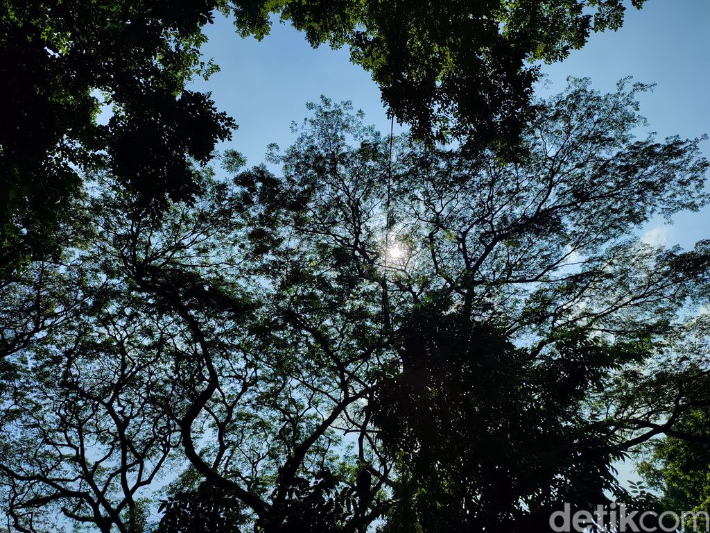 Hasil Kamera Redmi Note 10 Pro