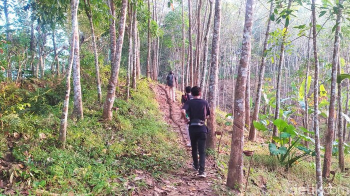 Kondisi jalan hutan ibu yang ditandu menuju puskesmas di Pandeglang