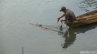 Kendati demikian, masih ada warga yang mencari ikan di kali tersebut. Bahkan dalam sehari warga dapat membawa pulang ikan hingga 20 kilogram.  