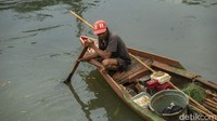 Karena sering makan kotoran, di dalam daging ikan sapu-sapu ditemukan banyak zat berbahaya, seperti merkuri, timbal, logam dan bahan pencemaran sungai lainnya.  