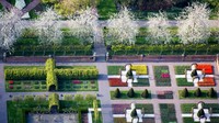 Di ladang ini tumbuh jutaan tangkai bunga tulip dengan beragam warna.  