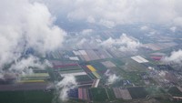 Salah satu tempat terbaik melihat tulip adalah di ladang Den Helder.  