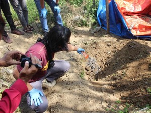 6 Orang Diperiksa Terkait Pembantaian Anjing di Pacitan