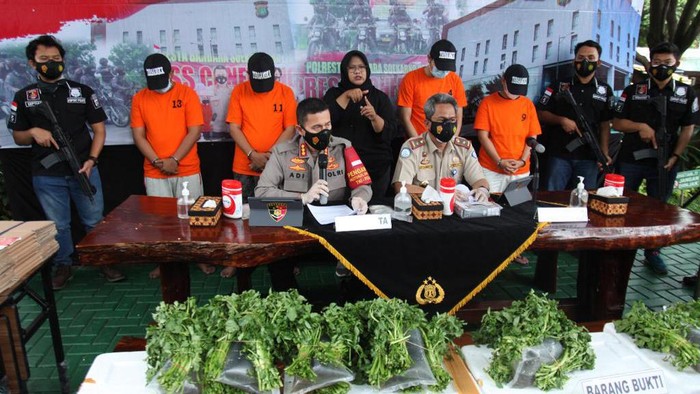 Polres Bandara Soekarno-Hatta menggagalkan penyelundupan baby lobster ke Singapura, Selasa (4/5/2021).