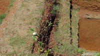 Rumah bawah tanah tersebut terletak di sebuah halaman dekat rumah Zainuddin di Desa Awang Cenrana, Kecamatan Amali, Bone, Sulsel.