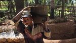 Potret Rumah Bawah Tanah yang Digali Kakek di Sulsel 2 Tahun