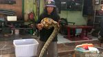 Penampakan Ular Piton 4 Meter yang Masuk Kandang Ayam