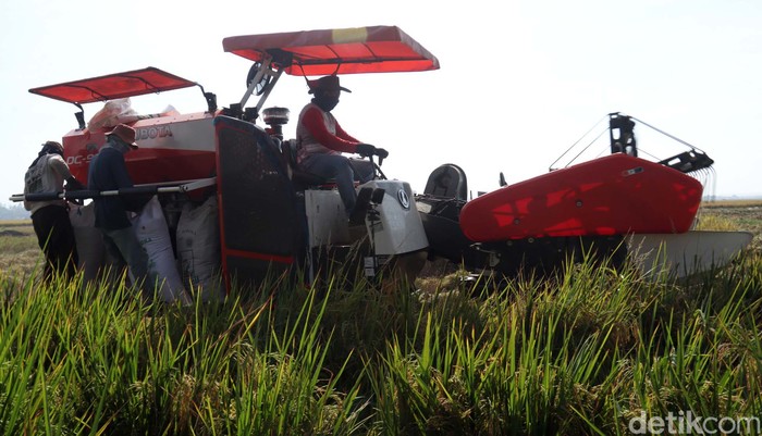 Petani Bojongemas, Solokanjeruk, Kabupaten Bandung, kini tengah panen padi. Mereka menggunakan alat mesin pertanian (Alsintan) untuk memanen padi.