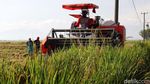 Keren Petani Jaman Now Panen Pakai Mesin Traktor