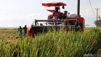 Alsintan ini disewa oleh petani, dengan bayaran satu banding 10 atau jika gabah yang dihasilkan mencapai 10 karung maka satu karung diberikan kepada pemilik mesin.