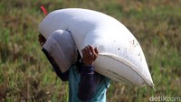Seorang petani membawa gabah hasil panennya.