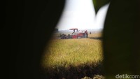 Petani di Bojongemas, Solokanjeruk, Kabupaten Bandung memilih menggunakan alat mesin pertanian (Alsintan) untuk memanen padi.