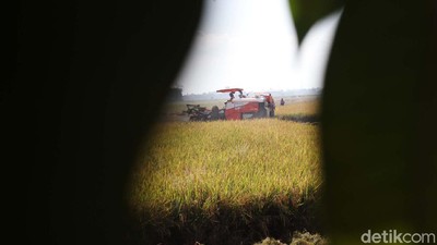 Keren Petani Jaman Now Panen Pakai Mesin Traktor