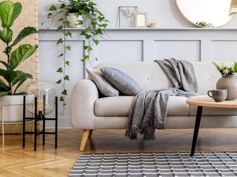 Stylish scandinavian living room interior with design sofa, furniture, tropical plants and decoration. Grey wall. Neutral concept. Template.