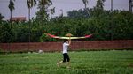 Warna-warni Layang-layang di Festival Vietnam