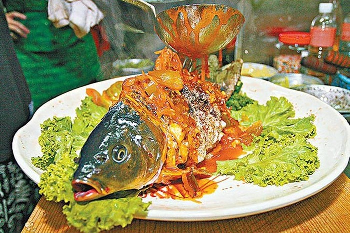 Yin dan Yang, Menu Ikan Setengah Hidup yang Kontroversial di China Yin dan Yang, Menu Ikan Setengah Hidup yang Kontroversial di China